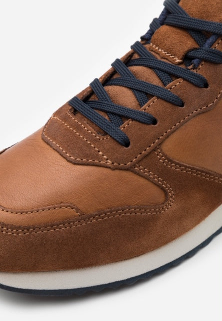Lloyd Cigar Edmond Brown Casual Shoes Brown