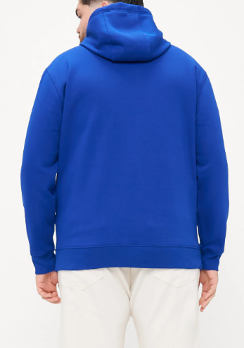 Tommy Hilfiger Oval Graphic Blue Hoodie Blue