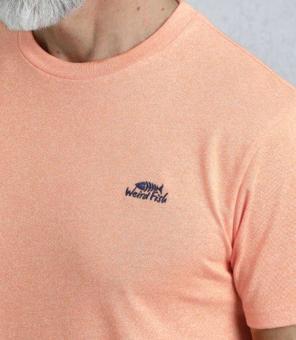Weird Fish Organic Fished Pumpkin Tee Orange