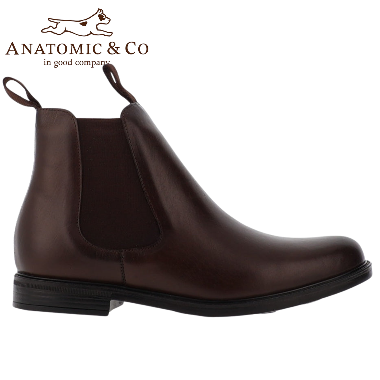 Anatomic Armando Leather Chelsea Coffee Brown