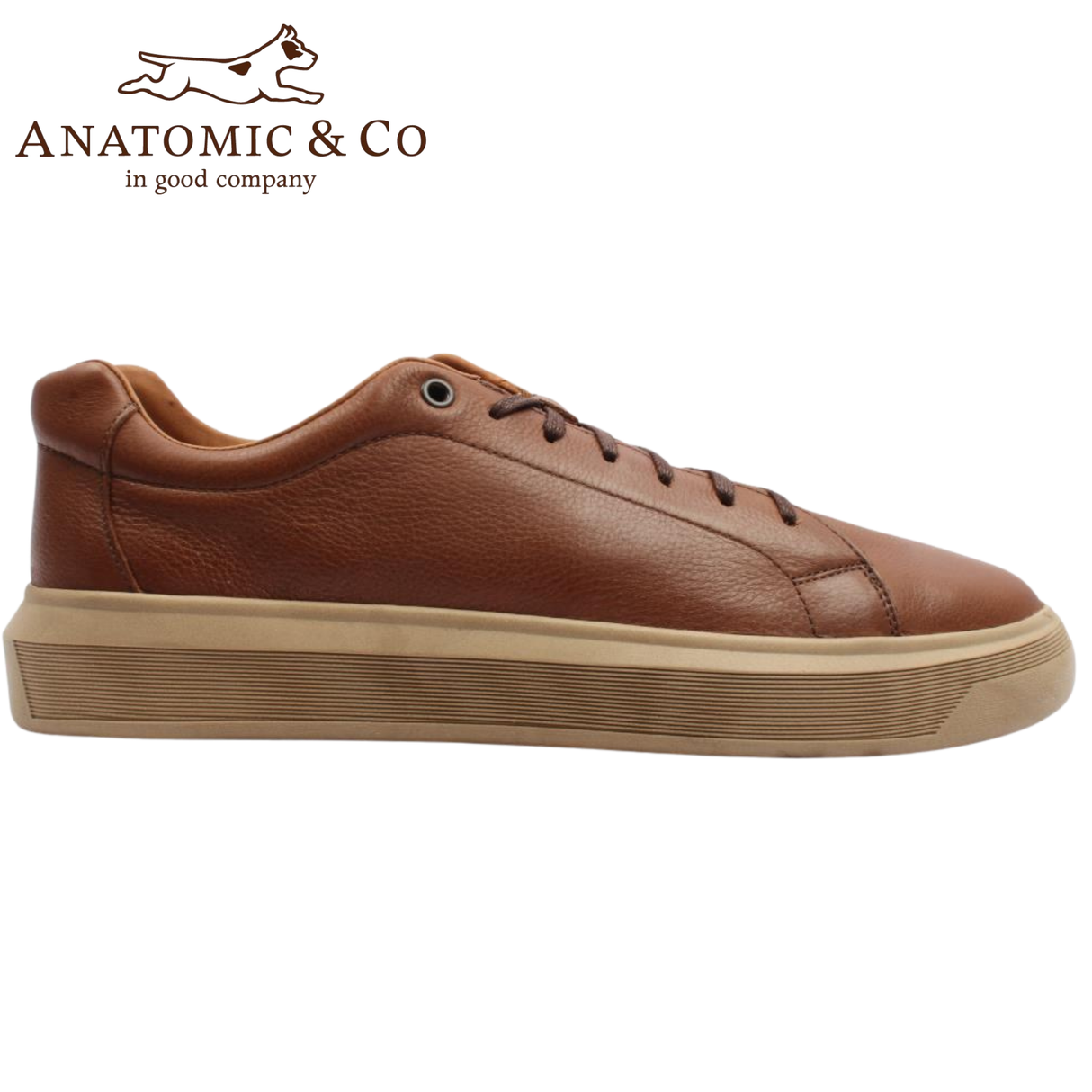 Anatomic Madeiro Brown Casual Trainers Brown