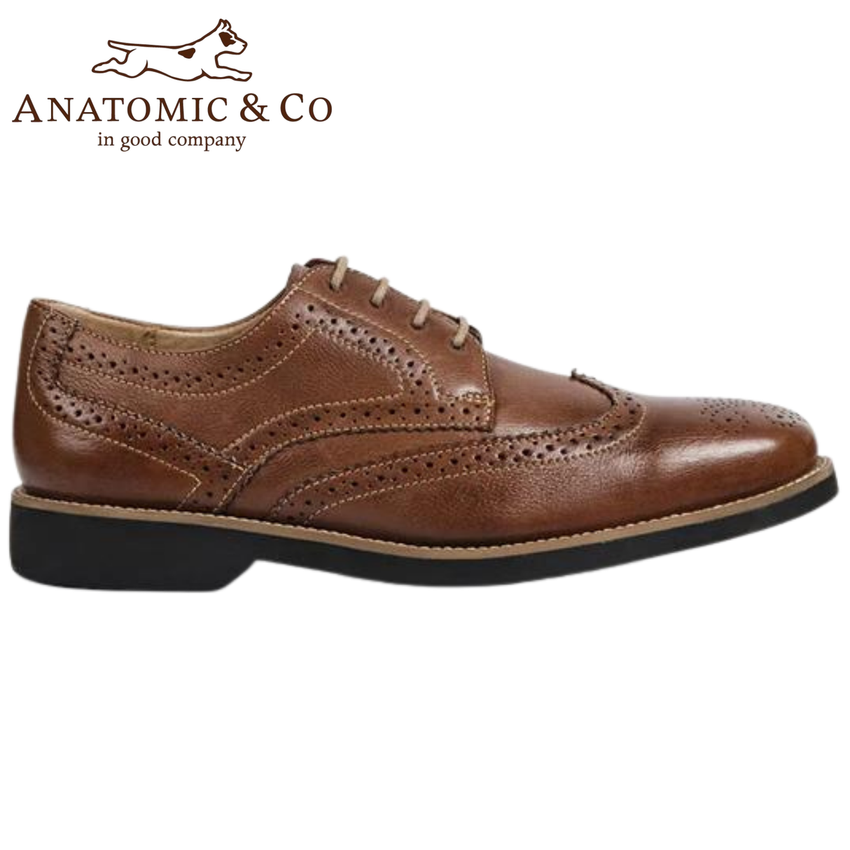 Anatomic Tucano Leather Brogue Shoes Brown
