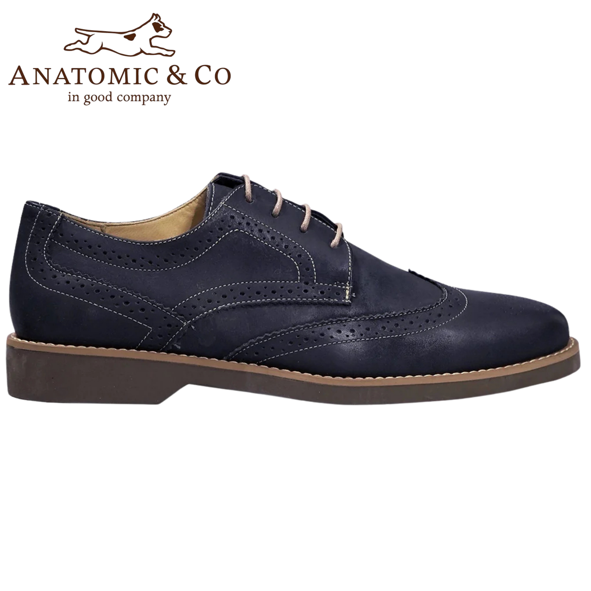 Anatomic Tucano Brogue Navy Shoes Navy