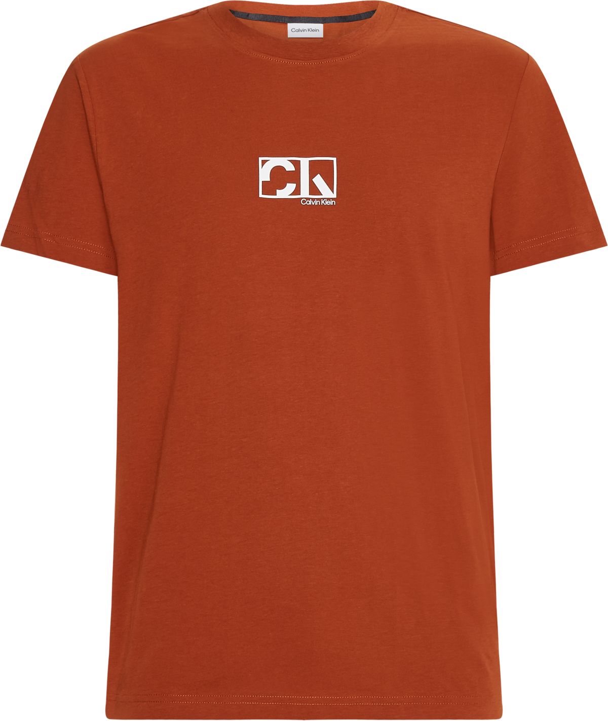 Calvin Klein Graphic Box Logo Rust Tee Brown