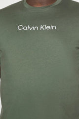 Calvin Klein Hero Logo Thyme Green Tee Green