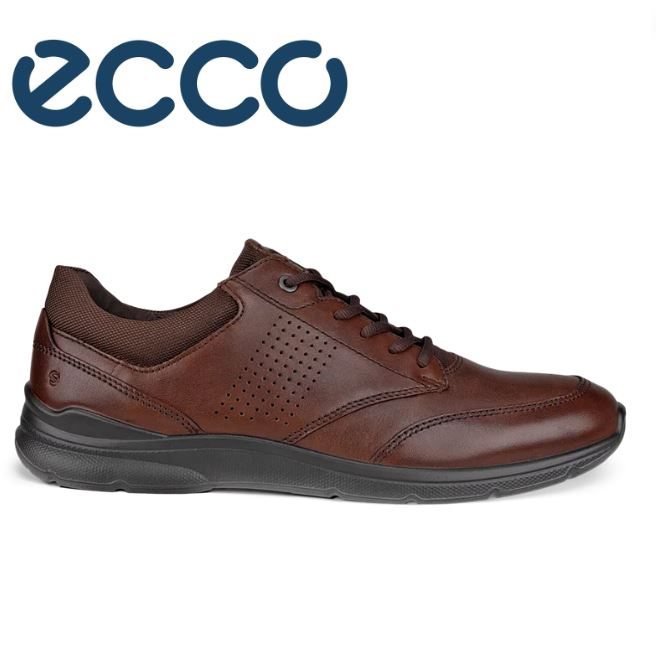 Ecco Shoes Ecco Cocoa Brown Men's Offroad Shoe Cocoa Ecco European