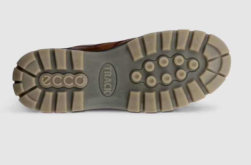 Ecco Track 25 Gore-Tex Brown Laced Shoe Brown