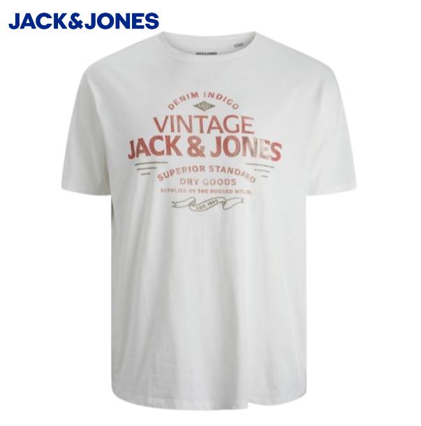 Jack & Jones Blubooster Print White Tee White