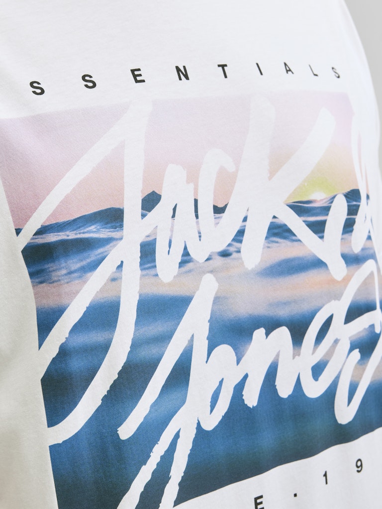 Jack & Jones Colton Photo Logo T-Shirt White
