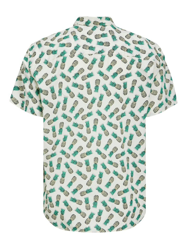 Jack & Jones James Palma Green Print Green