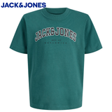 Jack & Jones Caleb Atlantic Deep Tee Green