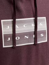 Jack & Jones Fusion Logo Fudge Hoodie Brown
