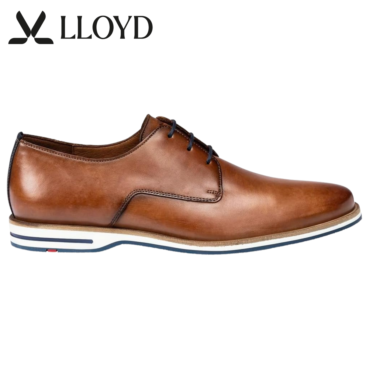 Lloyd Dakin Hazel Shoes Brown