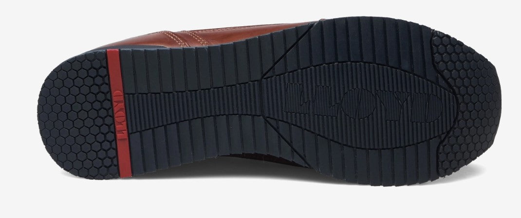 Lloyd Editta Brown Laced Shoes Brown