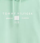 Tommy Hilfiger Brand Love Mint Hoodie Green