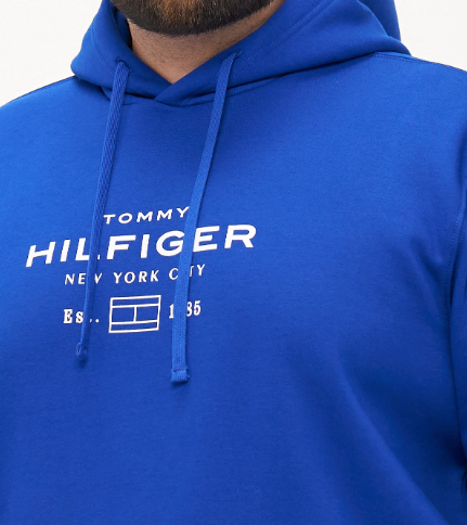 Tommy Hilfiger Oval Graphic Blue Hoodie Blue