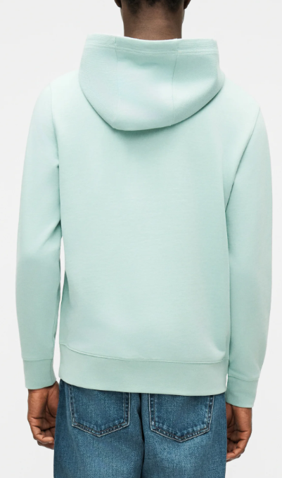Tommy Hilfiger Brand Love Mint Hoodie Green