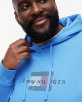 Tommy Hilfiger Script Flag Blue Hoodie Blue