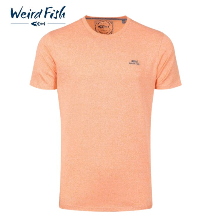 Weird Fish Organic Fished Pumpkin Tee Orange