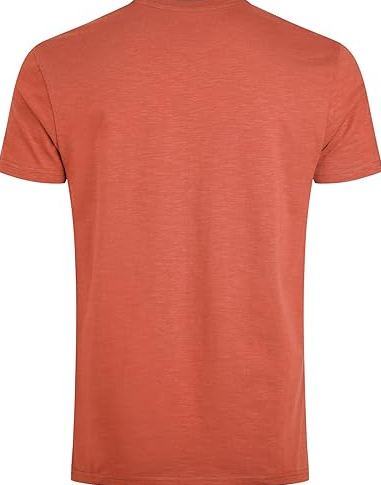 Weird Fish Fished Organic Crew Neck Tee Red