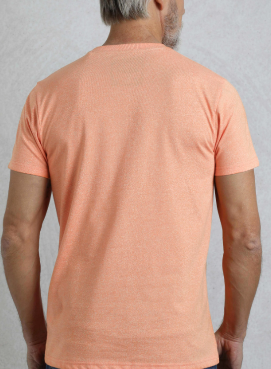 Weird Fish Organic Fished Pumpkin Tee Orange
