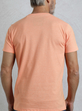 Weird Fish Organic Fished Pumpkin Tee Orange